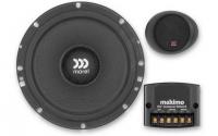   Morel Maximo 6