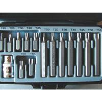     Torx 15 . 20-55 L=30 /L=75  76445