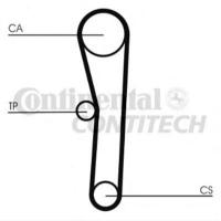    Contitech CT1008K1