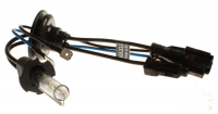 MaxLux H1 6000K