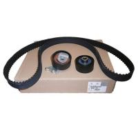 Комплект ГРМ INA CITROEN C5 I-II, PEUGEOT 406, 407 530023810