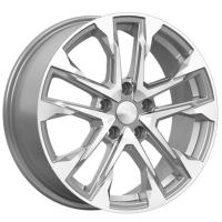 ���� ������